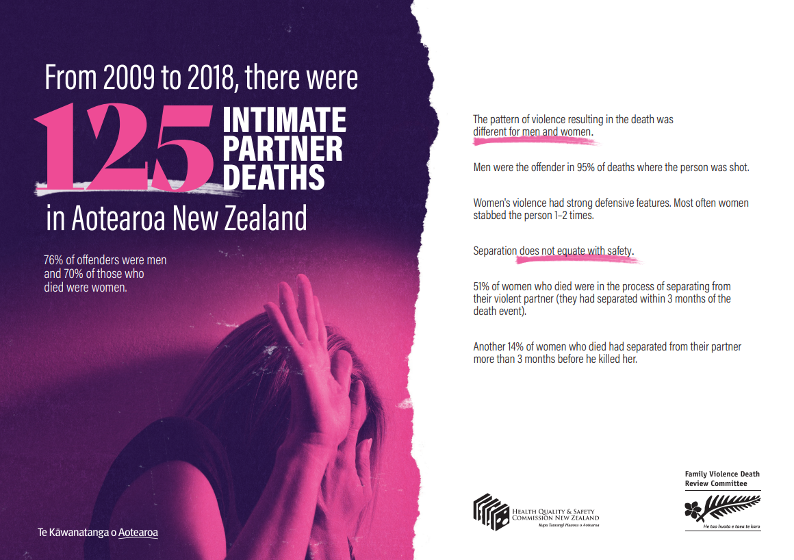 CDHPIVP Domestic Homicide Brief #1: Domestic Violence Death Review