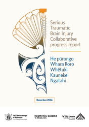 A screenshot of the progress report cover showing a tohu design and the report name